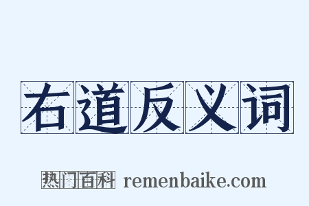 右道反义词是什么意思的图片